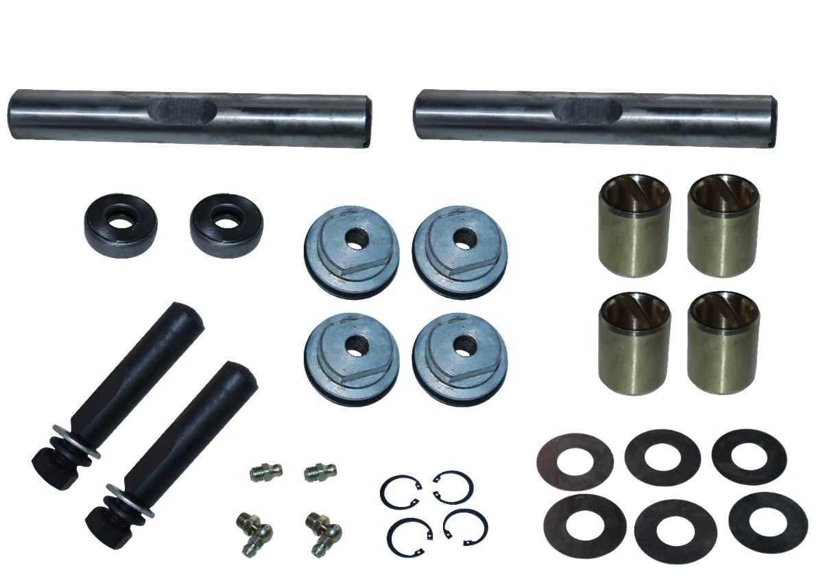 KING PIN SET TATA ACE S/S WITH BUSH + CARTER