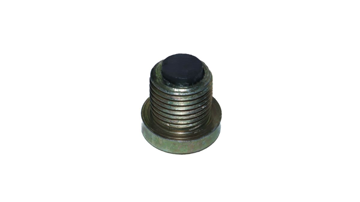 CHAMBER NUT PEUGEOT / INTER DI WITH MAGNET