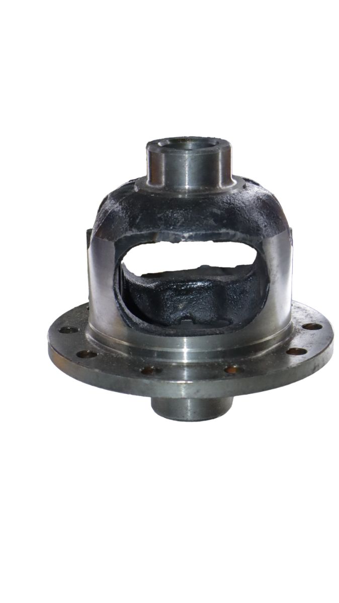 DIFFERENTIAL CAGE LEYLAND DOST
